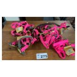ASSORTED HORSE HALTERS 5