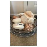SEA SHELLS IN CERAMIC BOWL AND TRAY