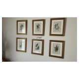 6 14 x 17 FRAMED PRINTS. NATURE
