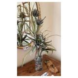 LARGE VASE w SUCCULENTS, PEBBLE PICTURE