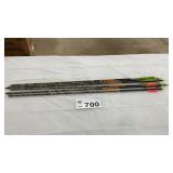 6 TERMINATOR ARROWS, 29 LENGTH