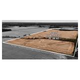 Tract 5 Consisting of  80 Ac +/- Est PI 98.82