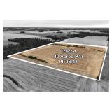 Tract 4 Consisting of 40 Ac +/- Est PI 96.43
