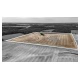 Tract 2 Consisting of 44.25 Ac+/- Est PI 109.99