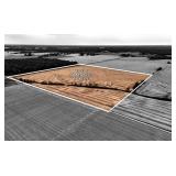 Tract 1 Consisting of 40 Ac +/- Est PI 101.13