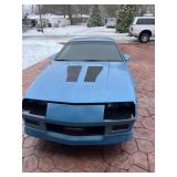 No Online bidding Listing Only (Live Auction Only)