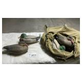 10  DUCK DECOYS IN MESH BAG