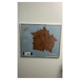 FRAMED LEAF PICTURE
