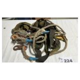 HARNESS, LANYARD