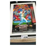 FRAMED MARK MCGWIRE POSTER