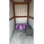 Storage Unit Auction