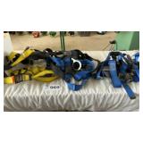 HARNESS
