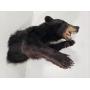 Online: Taxidermy, Collectibles, Pool Table, Office Desks