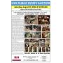 Live Public Estate Auction - Vintage & Rural Life