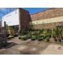 Waupun Online Nursery Stock & Consignment Auction