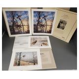 4 pencil signed Kouba & Maas wildlife prints-