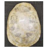 Replica scrimshaw turtle shell w/ presidents: