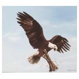 Jack Macleod signed oil on canvas: eagle- framed Jack Macleod signed oil on canvas: eagle- framed