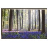 Lg photo print in ornate frame: woodland flowers-