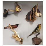 4 antique wooden bird carvings on natural wall