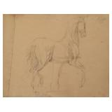Signed pencil sketch of a horse 12"x 17" image sz.