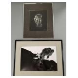2 framed animal prints: pencil signed  & numbered