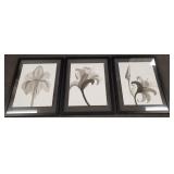 3 framed floral pencil signed artworks- Davison-