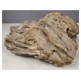 Lg petrified wood specimen- 8"H 15"W 11"D- 52 lbs