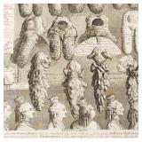 W. Hogarth 1761 framed engraving "Perriwigs" 20"H