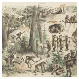 Antique Puck chromo litho-the original "Four