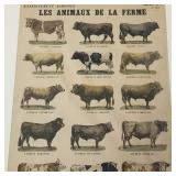 Large antique French colored litho "Les Animaux