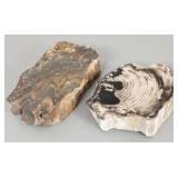 2 petrified wood specimens: 7" x 5" larger- approx