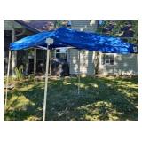 8 FOOT CANOPY