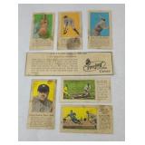 FRO JOY ICE CREAM CARDS