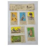 FRO JOY BASEBALL CARDS