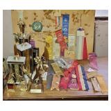 4-H RIBBONS & TROPHIES