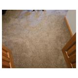 CARPET IN BASEMENT 400 SQ FT