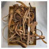 HORSE HALTERS AND MORE