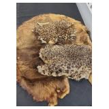 (2) ANIMAL PELTS