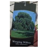 WEEPING WILLOW TREE