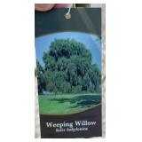 WEEPING WILLOW TREE