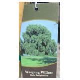 WEEPING WILLOW TREE
