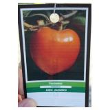 NATIVE PERSIMMON TREE