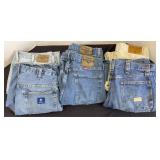 (5) JEANS SHORTS, (1) PANTS