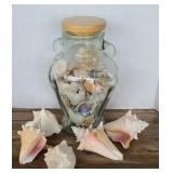 SHELL COLLECTION (ALT LOC)