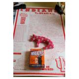 IU POSTER & MORE