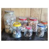 SHELL COLLECTION (ALT LOC)