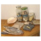ROCK COLLECTION (ALT LOC)