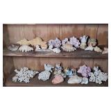 SHELL COLLECTION