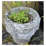 CONCRETE PLANTER BUYER MUST TAKE DIRT